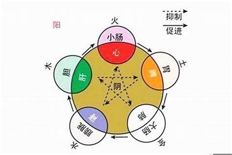 12月五行|12月份怎么分五行属什么好